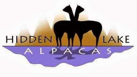Photo: Hidden Lake Alpacas